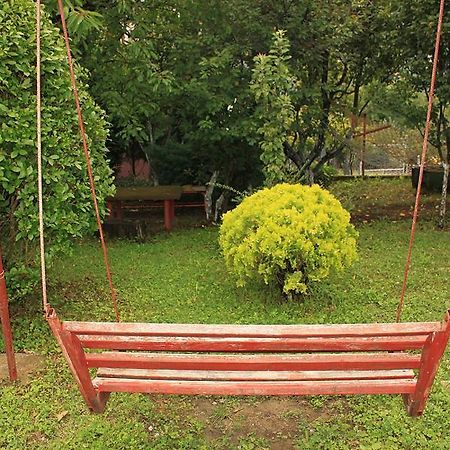 Gajanovic Rooms Donji Milanovac Exteriér fotografie